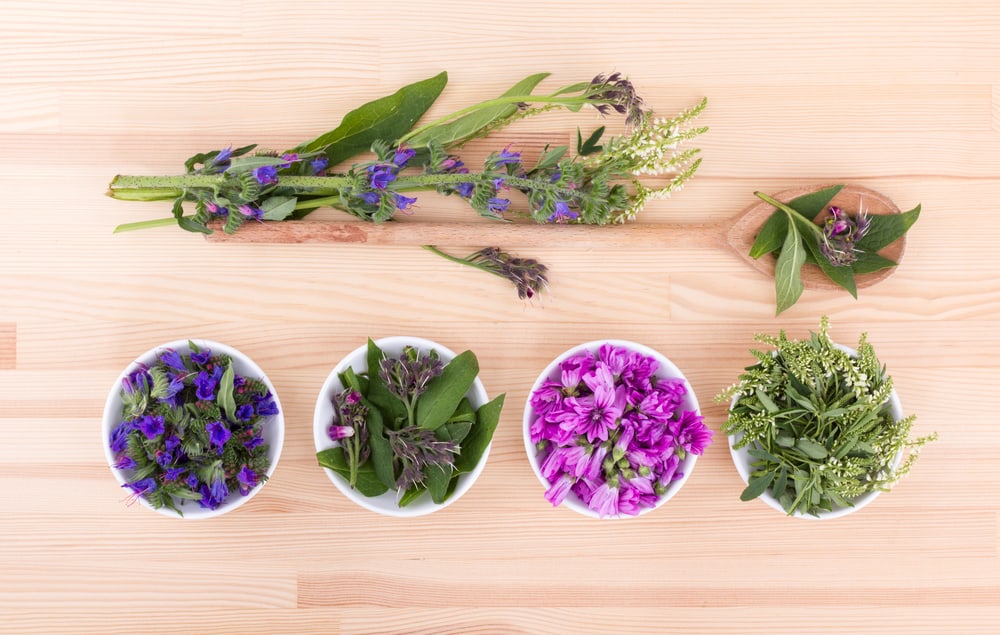 A bowls of different edible flowers