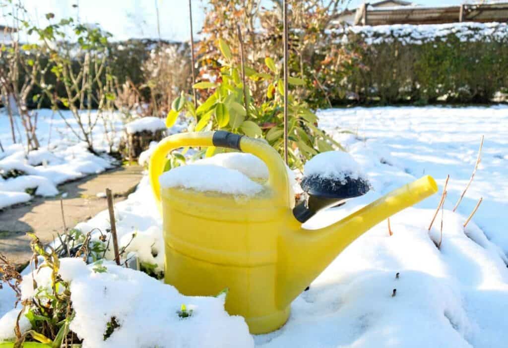 A yellow watering can covered in snow in a garden.