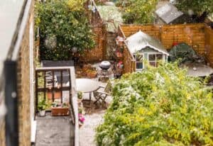 Winter backyard garden.